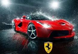 山东,年男子篮球,联赛启动盛,大发彩票,互动竞猜平台,在线娱乐,预测挑战,大发彩票APP下载