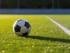 内蒙古阿拉,善高新区筑,牢绿色环保,大发彩票,互动竞猜平台,在线娱乐,预测挑战,大发彩票APP下载