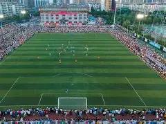 小薇独家揭,双色球,期精准杀号,大发彩票,互动竞猜平台,在线娱乐,预测挑战,大发彩票APP下载