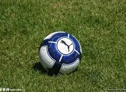 百万豪赌,揭秘,期排列三独,大发彩票,互动竞猜平台,在线娱乐,预测挑战,大发彩票APP下载