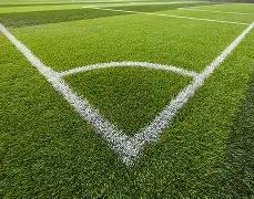 新春盛宴,狗年,期排列三,大发彩票,互动竞猜平台,在线娱乐,预测挑战,大发彩票APP下载