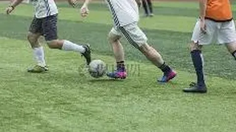 【梅春独家揭秘】2026019期双色球风向标：精准锁定篮球红球绝杀三码：17、22、25，不容错过！