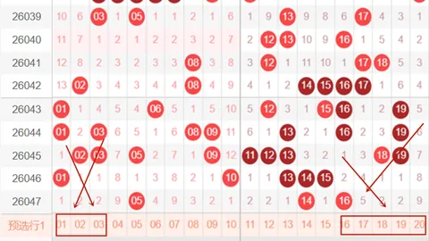 凯哥快乐8第2026051期号码专家质合推荐