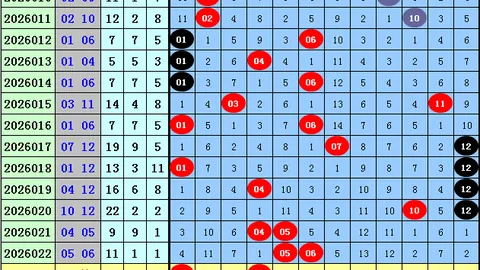 第2026027期 双色球2026027期：虎哥心水61倍投