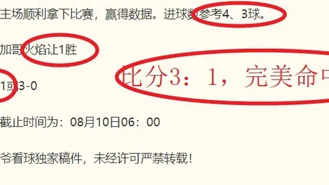 柏林赫塔对战布伦斯维克大发彩票风险提示：全面分析火烫状态下的得分机会